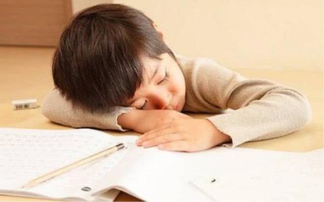 运输服务 第77页