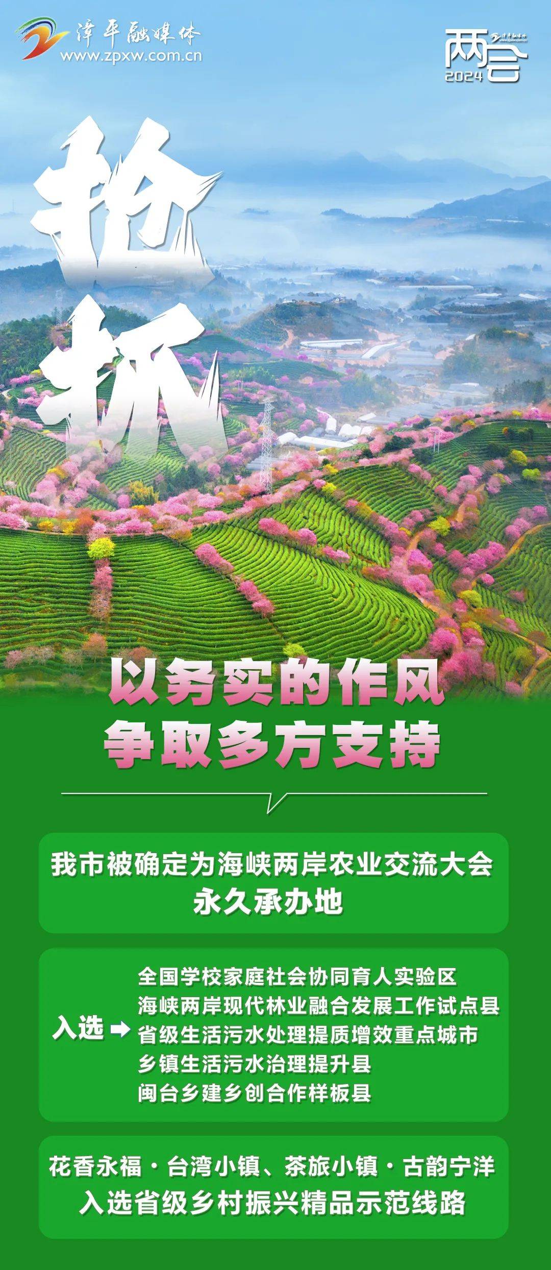 漳平最新动态与资讯速递📣🌿